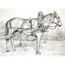 "Лошадь в праздничной упряжи." графика Арасланов Р. Н. 2014 год